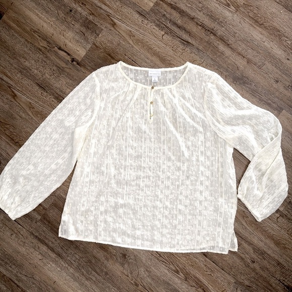 Liz Claiborne • Ivory Textured Sheer Blouse - Picture 2 of 13